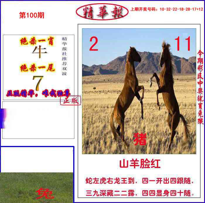 100期新精华报报[图]